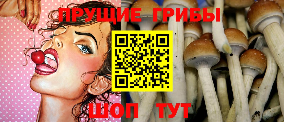 Саяногорск  Галлюциногенные грибы Psilocybine cubensis  Вход с VPN  Псилоцибиновые грибы Cubensis 
