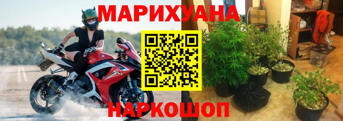 Марихуана OG Kush Саяногорск