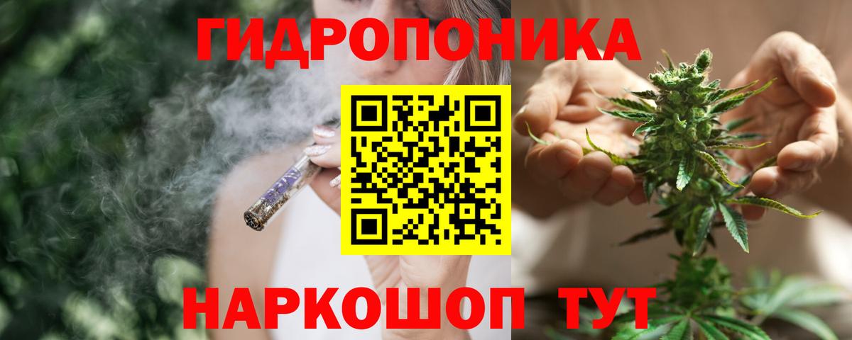 Бошки марихуана семена  Конопля гибрид  Саяногорск  Вход с VPN 